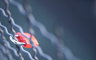 shallow focus photography of red padlock on fence