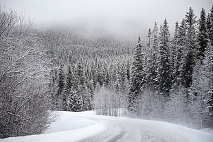 snowy road during daytime