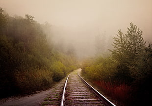 grey railway beside trees during daytime HD wallpaper