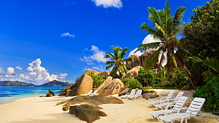 painting of beach shore, beach, tropical, palm trees