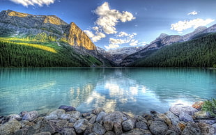blue body of water, mountains, lake, forest, rock HD wallpaper