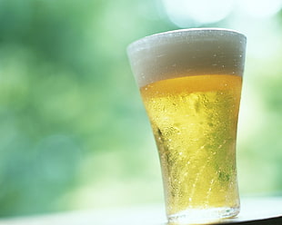 clear drinking glass with beer