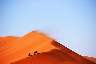 people walking on desert during daytime HD wallpaper