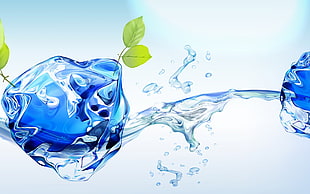 time lapse photography of water dew HD wallpaper