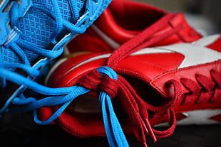 close-up photo of red and blue leather sneakers
