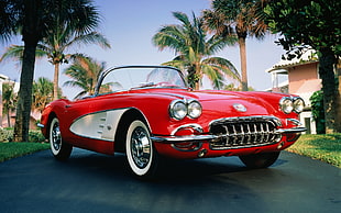 red Chevrolet Corvette C1 parked on pave road at daytime HD wallpaper