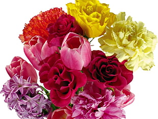 pink, red, and yellow roses arrangement HD wallpaper