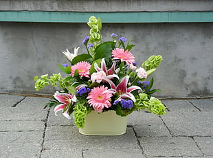 pink and purple flowers