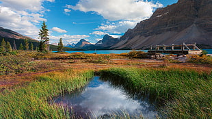 brown wooden bridge, Canada, nature, landscape