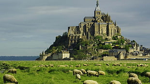 gray concrete castle, Mont Saint-Michel, castle, France, plains