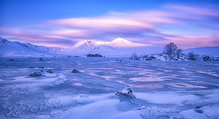 snow covered ground surrounded by trees HD wallpaper