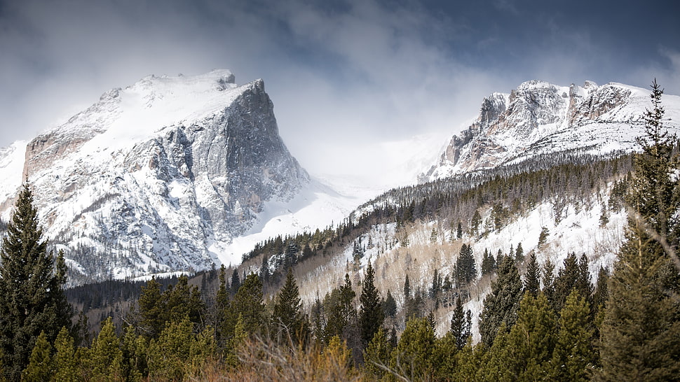 snowy mountain near forest under cloudy sky HD wallpaper