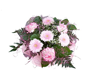 pink and white daisy and carnation bouquet flowers HD wallpaper
