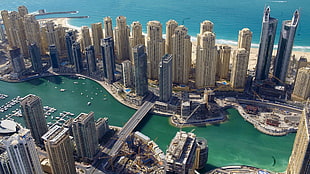 aerial photography of city near body of water during daytime