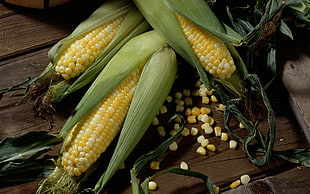 top view of three corn on cob on brown wooden surface