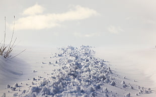 photo of snowfield, snow, winter, landscape HD wallpaper