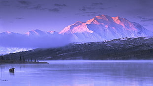 black and gray fishing rod, nature, landscape, mountains, snow