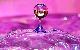 water droplet in macro shot photography HD wallpaper
