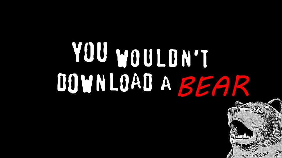 You wouldn't download a bear meme, memes, bears, typography, humor HD  wallpaper | Wallpaper Flare