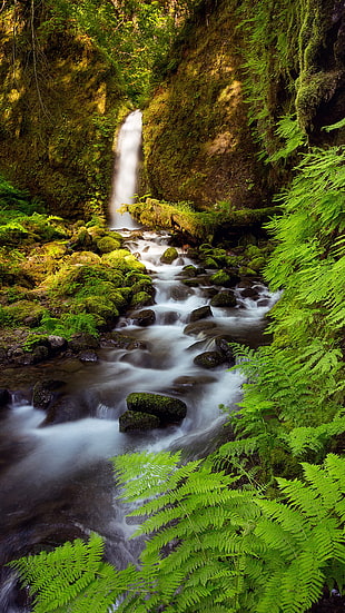 waterfalls and river time-lapse photo, landscape, vertical, creeks HD wallpaper
