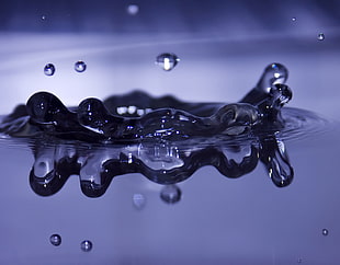 macro photo of water drops HD wallpaper