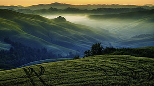 landscape painting of mountain and green fields, landscape, mist, hills, sunset