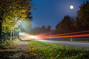 timelapse photography of road surrounded by trees, landscape, plants, long exposure, street HD wallpaper