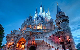 Disney Castle during dawn HD wallpaper