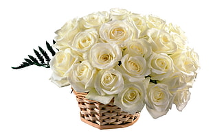 bouquet of white rose