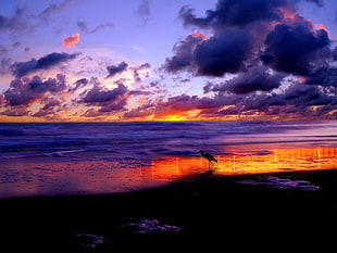 photography of water waves heating seashore