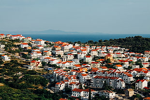 landscape photography of buildings during daytime