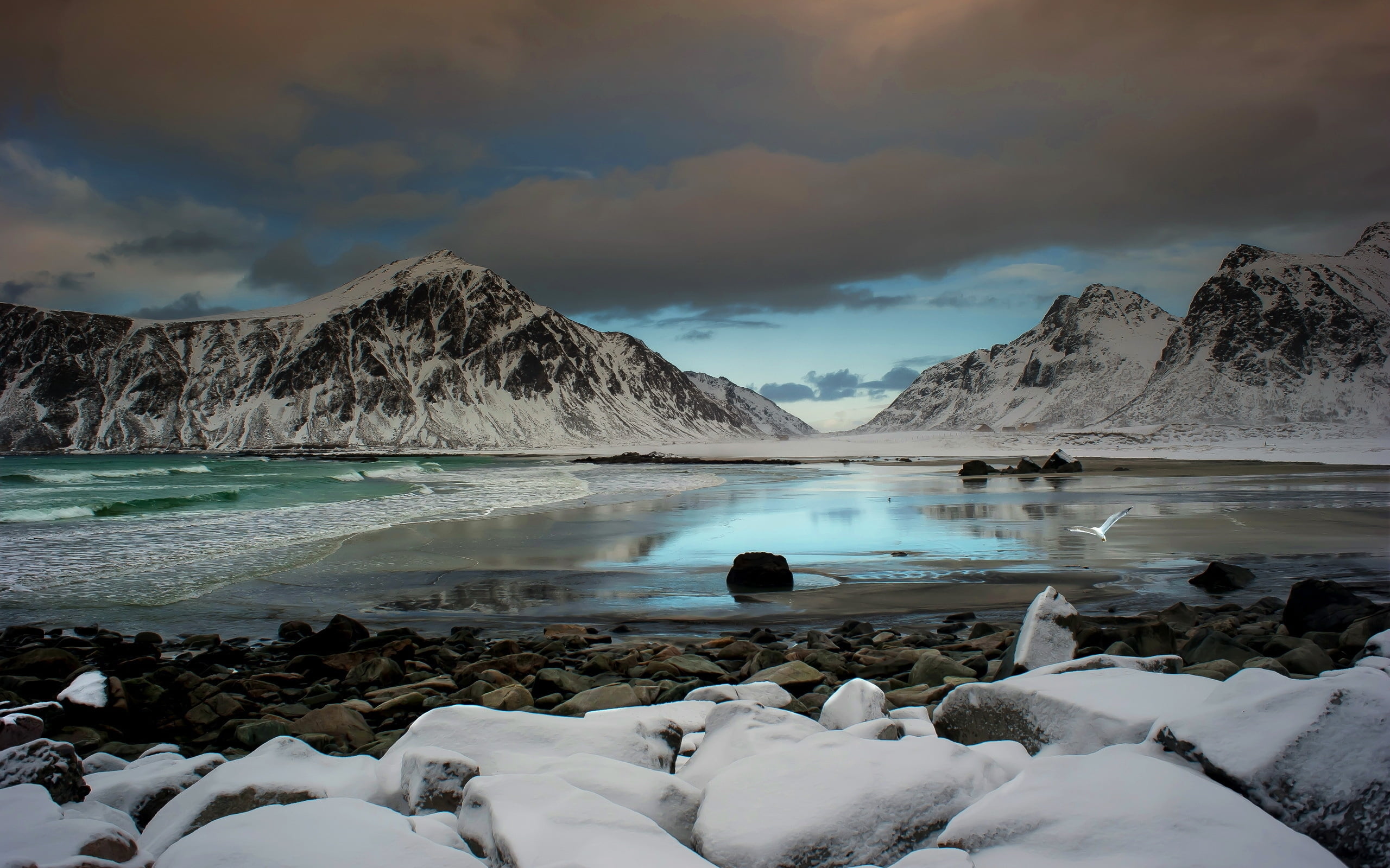 snowy seashore and mountain