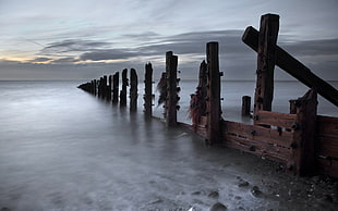 brown wooden pillars of pier in ocean HD wallpaper