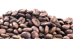 coffee beans HD wallpaper