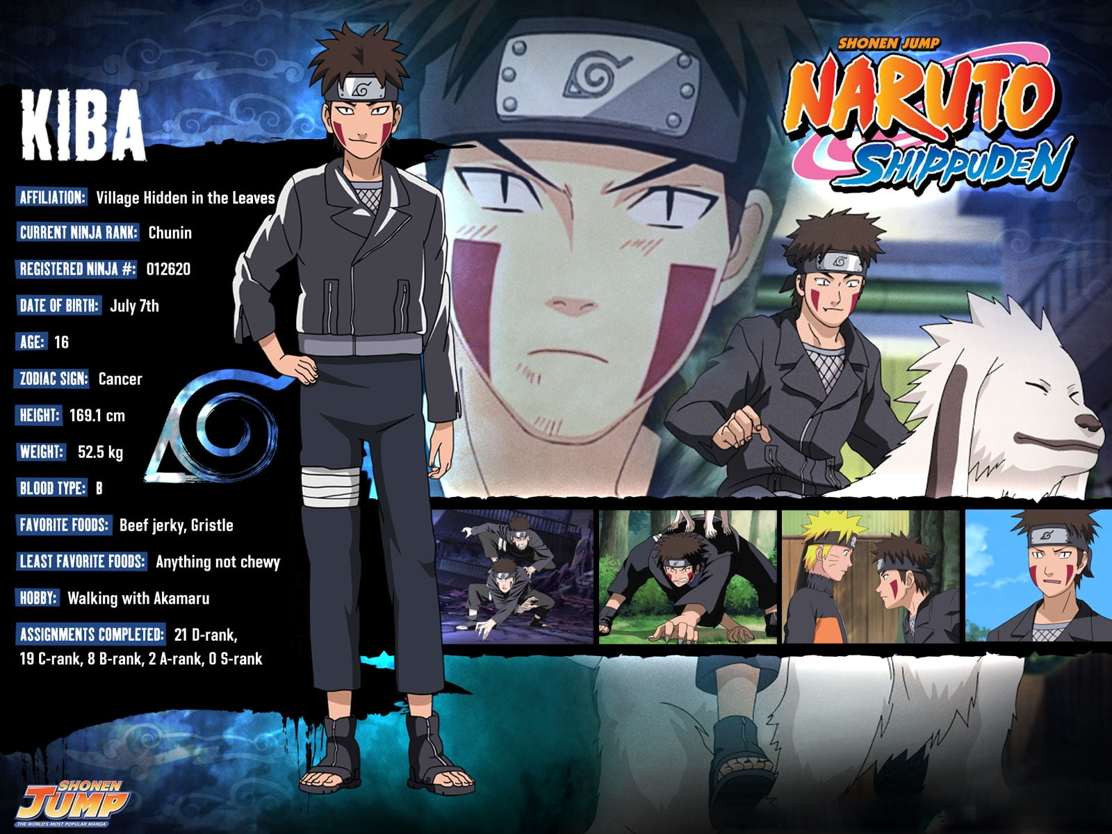 Naruto Shippuden Kiba illustration HD wallpaper | Wallpaper Flare