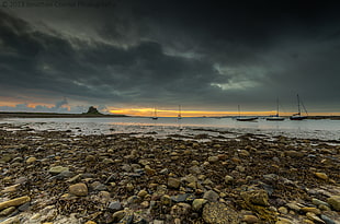 brown stones beside seashore during sunset