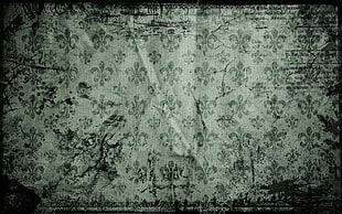 white and gray fluer de lis print HD wallpaper