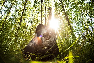 black wooden acoustic guitar with sunlight on grasses HD wallpaper