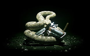 brown snake and black and brown pistol, Hitman: Absolution, Hitman, gun, Silverballer HD wallpaper