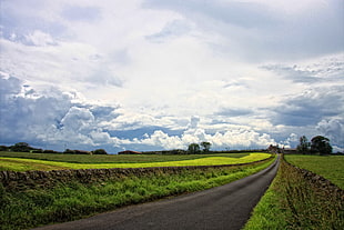 cloudy sky over greenfield during daytime HD wallpaper