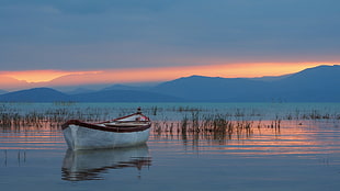 white and brown boat, lake, nature, boat HD wallpaper