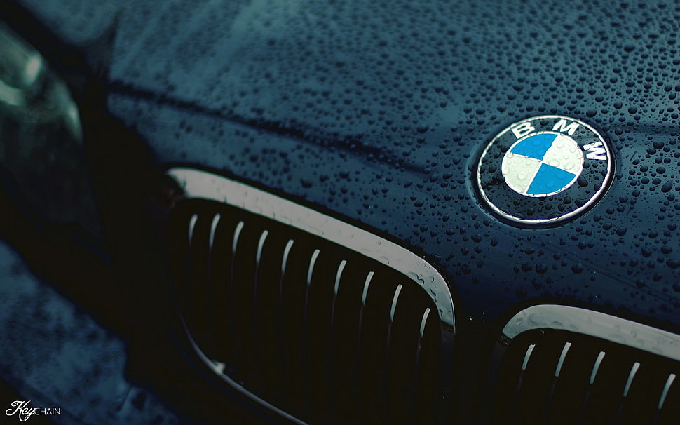 BMW logo, car, BMW, closeup, logo HD wallpaper