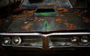 brown and green vehicle, car, vehicle, Pontiac, leaves HD wallpaper
