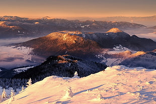 tree covered mountain, mountains, snow, sunlight, sunbeams