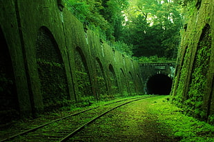 brown train tunnel, abandoned, railway, tunnel HD wallpaper