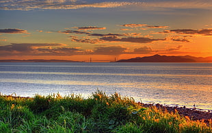 body of water over the horizon, sunset, nature