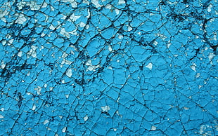 blue and white paint close-up photo HD wallpaper