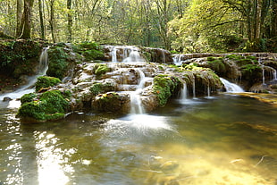 river in the middle of the forest HD wallpaper