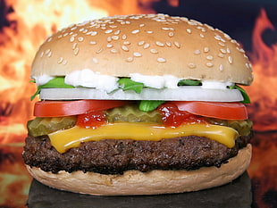 bun with patty, food, burgers, burger, closeup HD wallpaper