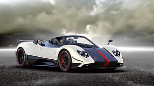 white and black sports coupe, Pagani Zonda, supercars, cinque, Roadster HD wallpaper